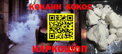 крисы Краснодар