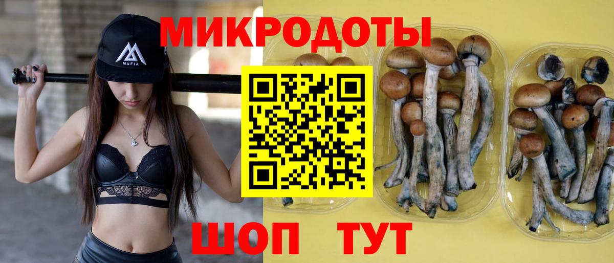 Кириши  Псилоцибиновые грибы Magic Shrooms  Вход с VPN 