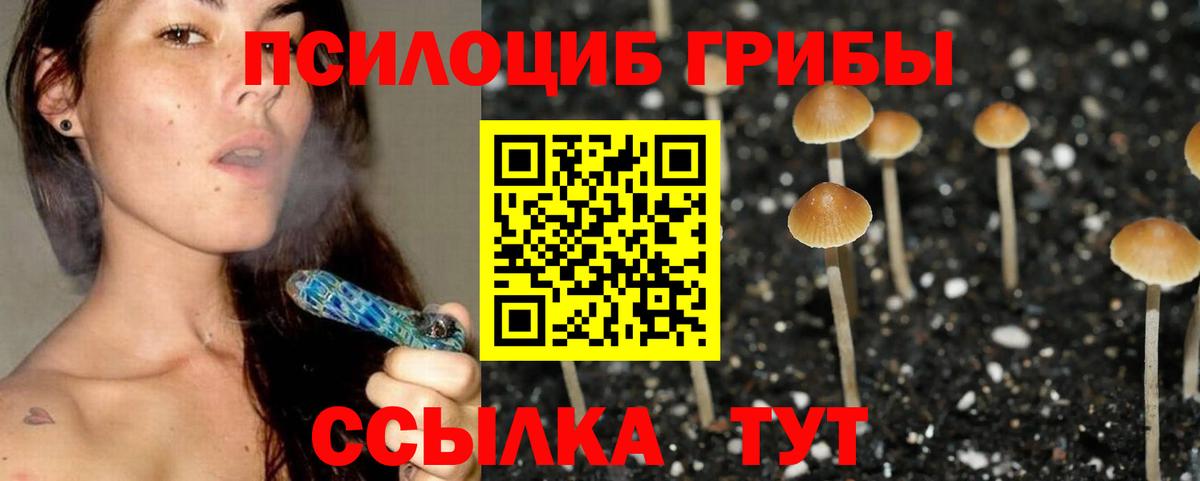 Галлюциногенные грибы Cubensis Кириши